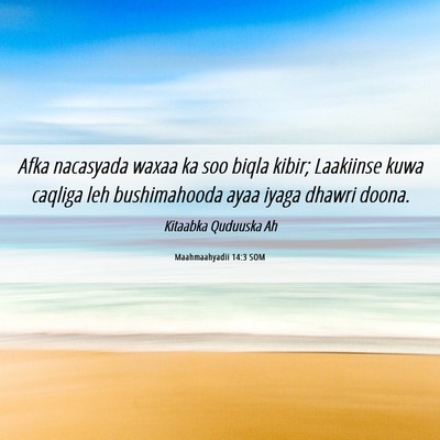 Picture 06 - Maahmaahyadii 14:3 SOM - Afka nacasyada waxaa ka soo biqla kibir; - Bible Verse Picture