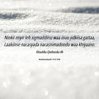 Picture 06 - Maahmaahyadii 14:8 SOM - Ninkii miyir leh xigmaddiisu waa inuu jidkiisa - Bible Verse Picture