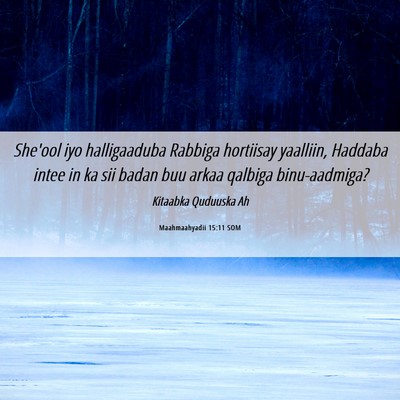 Picture 06 - Maahmaahyadii 15:11 SOM - She'ool iyo halligaaduba Rabbiga hortiisay - Bible Verse Picture