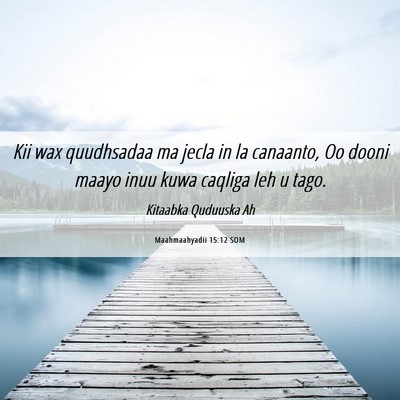 Picture 06 - Maahmaahyadii 15:12 SOM - Kii wax quudhsadaa ma jecla in la canaanto, Oo - Bible Verse Picture