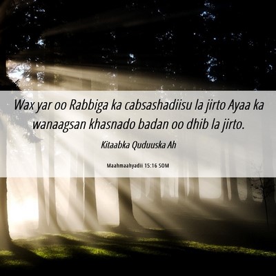 Picture 06 - Maahmaahyadii 15:16 SOM - Wax yar oo Rabbiga ka cabsashadiisu la jirto Ayaa - Bible Verse Picture