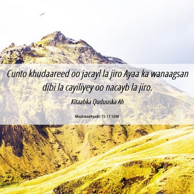 Picture 06 - Maahmaahyadii 15:17 SOM - Cunto khudaareed oo jacayl la jiro Ayaa ka - Bible Verse Picture