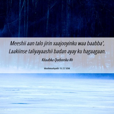 Picture 06 - Maahmaahyadii 15:22 SOM - Meeshii aan talo jirin xaajooyinku waa baabba', - Bible Verse Picture