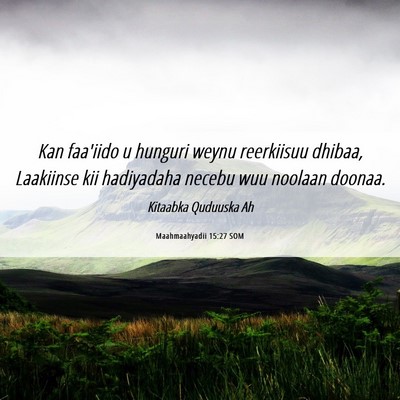 Picture 06 - Maahmaahyadii 15:27 SOM - Kan faa'iido u hunguri weynu reerkiisuu dhibaa, - Bible Verse Picture