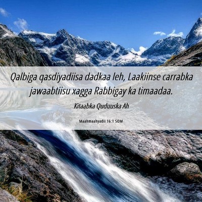 Picture 06 - Maahmaahyadii 16:1 SOM - Qalbiga qasdiyadiisa dadkaa leh, Laakiinse - Bible Verse Picture