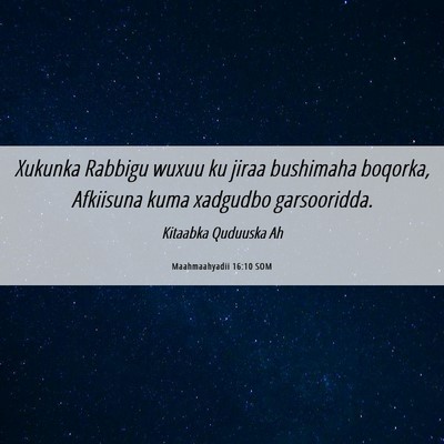 Picture 06 - Maahmaahyadii 16:10 SOM - Xukunka Rabbigu wuxuu ku jiraa bushimaha boqorka, - Bible Verse Picture