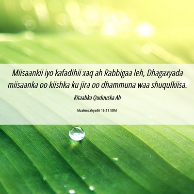 Picture 06 - Maahmaahyadii 16:11 SOM - Miisaankii iyo kafadihii xaq ah Rabbigaa leh, - Bible Verse Picture