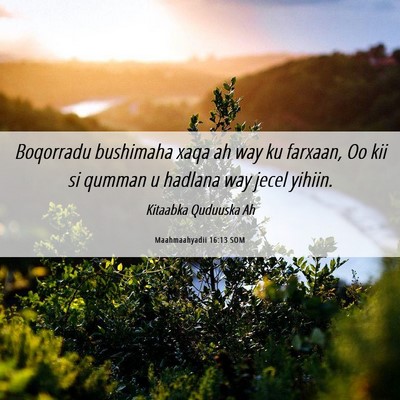 Picture 06 - Maahmaahyadii 16:13 SOM - Boqorradu bushimaha xaqa ah way ku farxaan, Oo - Bible Verse Picture