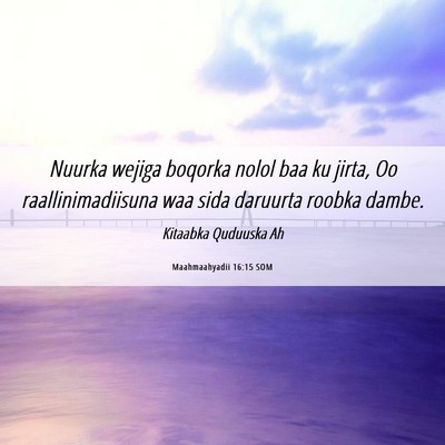 Picture 06 - Maahmaahyadii 16:15 SOM - Nuurka wejiga boqorka nolol baa ku jirta, Oo - Bible Verse Picture