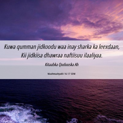 Picture 06 - Maahmaahyadii 16:17 SOM - Kuwa qumman jidkoodu waa inay sharka ka leexdaan, - Bible Verse Picture