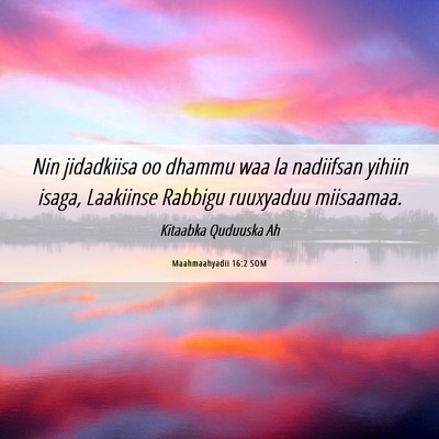 Picture 06 - Maahmaahyadii 16:2 SOM - Nin jidadkiisa oo dhammu waa la nadiifsan yihiin - Bible Verse Picture
