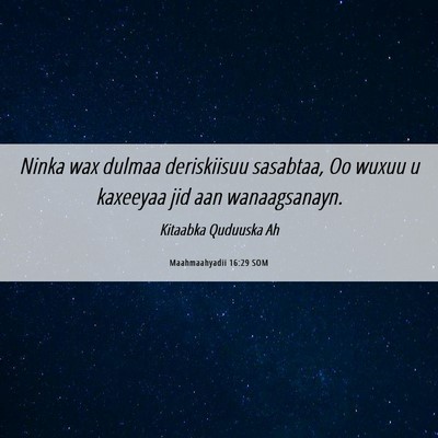 Picture 06 - Maahmaahyadii 16:29 SOM - Ninka wax dulmaa deriskiisuu sasabtaa, Oo wuxuu u - Bible Verse Picture
