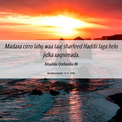 Picture 06 - Maahmaahyadii 16:31 SOM - Madaxa cirro lahu waa taaj sharfeed Haddii laga - Bible Verse Picture
