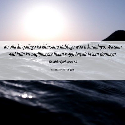 Picture 06 - Maahmaahyadii 16:5 SOM - Ku alla kii qalbiga ka kibirsanu Rabbiga waa u - Bible Verse Picture