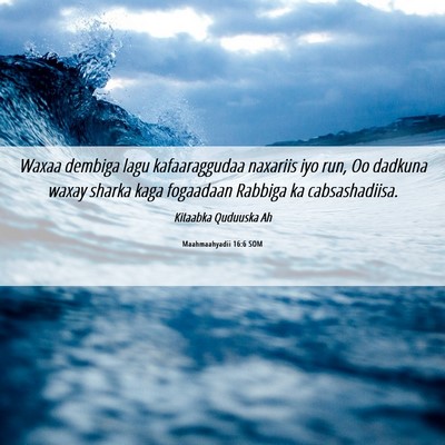 Picture 06 - Maahmaahyadii 16:6 SOM - Waxaa dembiga lagu kafaaraggudaa naxariis iyo - Bible Verse Picture