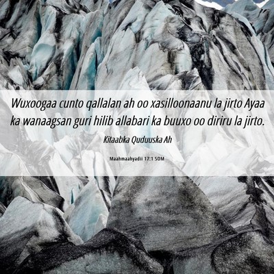 Picture 06 - Maahmaahyadii 17:1 SOM - Wuxoogaa cunto qallalan ah oo xasilloonaanu la - Bible Verse Picture