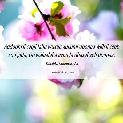 Picture 06 - Maahmaahyadii 17:2 SOM - Addoonkii caqli lahu wuxuu xukumi doonaa wiilkii - Bible Verse Picture