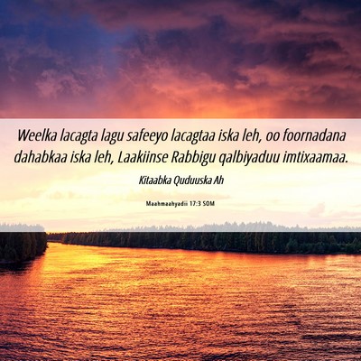 Picture 06 - Maahmaahyadii 17:3 SOM - Weelka lacagta lagu safeeyo lacagtaa iska leh, oo - Bible Verse Picture