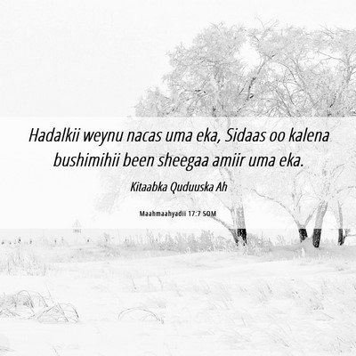 Picture 06 - Maahmaahyadii 17:7 SOM - Hadalkii weynu nacas uma eka, Sidaas oo kalena - Bible Verse Picture