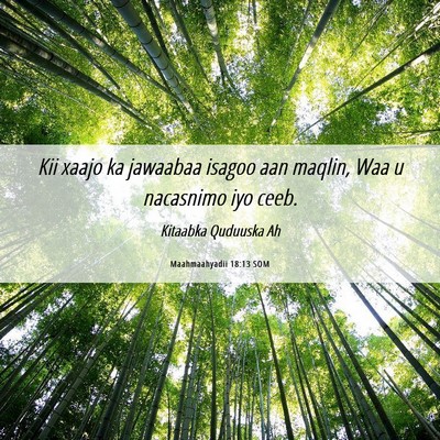Picture 06 - Maahmaahyadii 18:13 SOM - Kii xaajo ka jawaabaa isagoo aan maqlin, Waa u - Bible Verse Picture