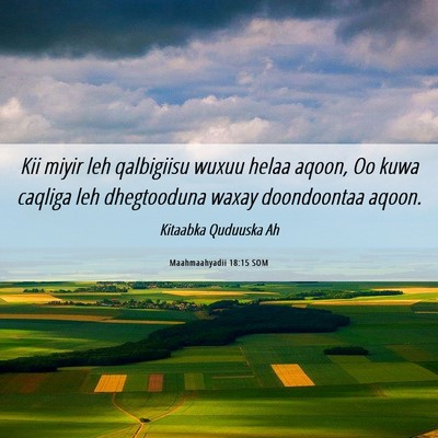 Picture 06 - Maahmaahyadii 18:15 SOM - Kii miyir leh qalbigiisu wuxuu helaa aqoon, Oo - Bible Verse Picture