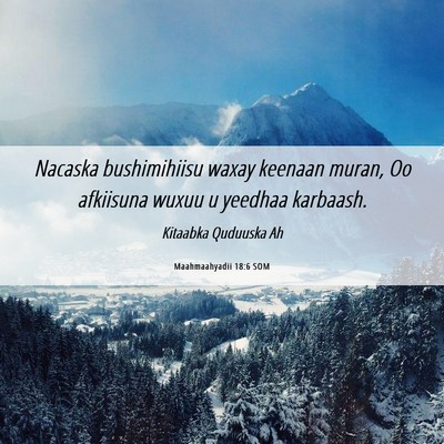 Picture 06 - Maahmaahyadii 18:6 SOM - Nacaska bushimihiisu waxay keenaan muran, Oo - Bible Verse Picture