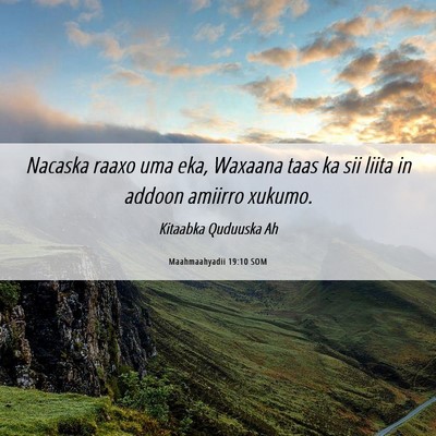 Picture 06 - Maahmaahyadii 19:10 SOM - Nacaska raaxo uma eka, Waxaana taas ka sii liita - Bible Verse Picture