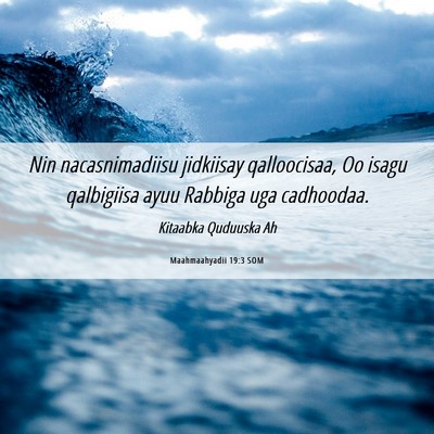 Picture 06 - Maahmaahyadii 19:3 SOM - Nin nacasnimadiisu jidkiisay qalloocisaa, Oo - Bible Verse Picture