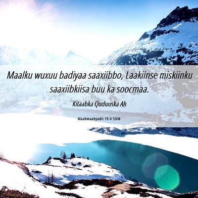 Picture 06 - Maahmaahyadii 19:4 SOM - Maalku wuxuu badiyaa saaxiibbo, Laakiinse - Bible Verse Picture