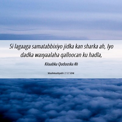 Picture 06 - Maahmaahyadii 2:12 SOM - Si lagaaga samatabbixiyo jidka kan sharka ah, Iyo - Bible Verse Picture
