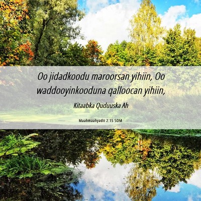 Picture 06 - Maahmaahyadii 2:15 SOM - Oo jidadkoodu maroorsan yihiin, Oo - Bible Verse Picture