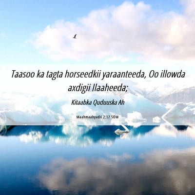 Picture 06 - Maahmaahyadii 2:17 SOM - Taasoo ka tagta horseedkii yaraanteeda, Oo - Bible Verse Picture
