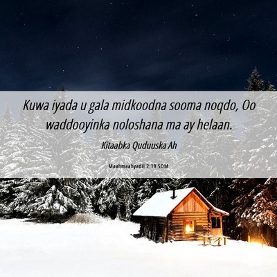 Picture 06 - Maahmaahyadii 2:19 SOM - Kuwa iyada u gala midkoodna sooma noqdo, Oo - Bible Verse Picture