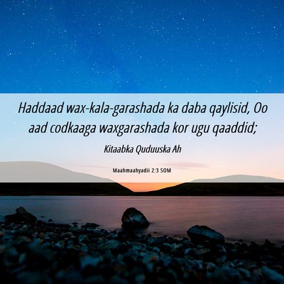 Picture 06 - Maahmaahyadii 2:3 SOM - Haddaad wax-kala-garashada ka daba qaylisid, Oo - Bible Verse Picture