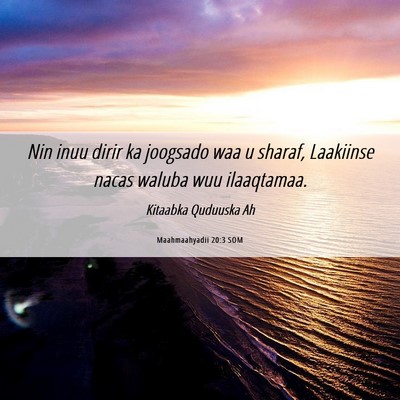 Picture 06 - Maahmaahyadii 20:3 SOM - Nin inuu dirir ka joogsado waa u sharaf, - Bible Verse Picture