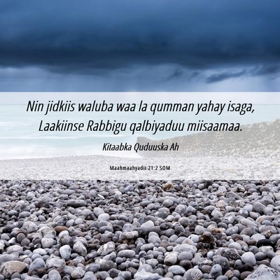 Picture 06 - Maahmaahyadii 21:2 SOM - Nin jidkiis waluba waa la qumman yahay isaga, - Bible Verse Picture