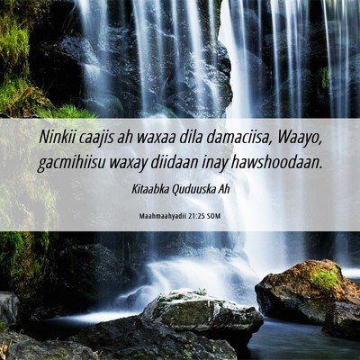 Picture 06 - Maahmaahyadii 21:25 SOM - Ninkii caajis ah waxaa dila damaciisa, Waayo, - Bible Verse Picture