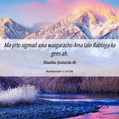 Picture 06 - Maahmaahyadii 21:30 SOM - Ma jirto xigmad ama waxgarasho Ama talo Rabbiga - Bible Verse Picture