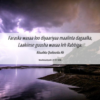 Picture 06 - Maahmaahyadii 21:31 SOM - Faraska waxaa loo diyaariyaa maalinta dagaalka, - Bible Verse Picture