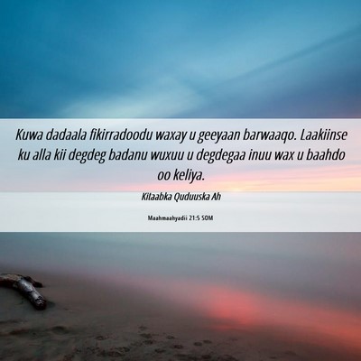 Picture 06 - Maahmaahyadii 21:5 SOM - Kuwa dadaala fikirradoodu waxay u geeyaan - Bible Verse Picture