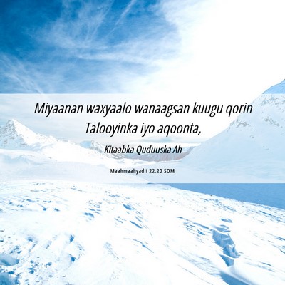 Picture 06 - Maahmaahyadii 22:20 SOM - Miyaanan waxyaalo wanaagsan kuugu qorin - Bible Verse Picture