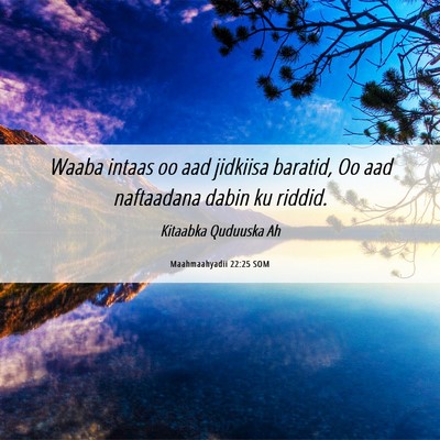 Picture 06 - Maahmaahyadii 22:25 SOM - Waaba intaas oo aad jidkiisa baratid, Oo aad - Bible Verse Picture