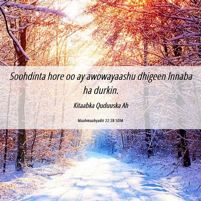 Picture 06 - Maahmaahyadii 22:28 SOM - Soohdinta hore oo ay awowayaashu dhigeen Innaba - Bible Verse Picture