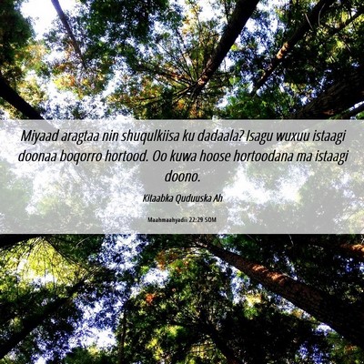 Picture 06 - Maahmaahyadii 22:29 SOM - Miyaad aragtaa nin shuqulkiisa ku dadaala? Isagu - Bible Verse Picture