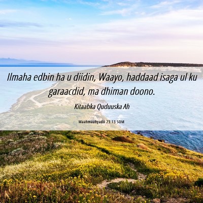 Picture 06 - Maahmaahyadii 23:13 SOM - Ilmaha edbin ha u diidin, Waayo, haddaad isaga ul - Bible Verse Picture
