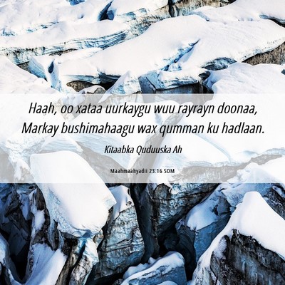 Picture 06 - Maahmaahyadii 23:16 SOM - Haah, oo xataa uurkaygu wuu rayrayn doonaa, - Bible Verse Picture