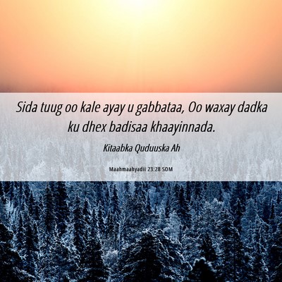 Picture 06 - Maahmaahyadii 23:28 SOM - Sida tuug oo kale ayay u gabbataa, Oo waxay dadka - Bible Verse Picture