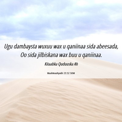 Picture 06 - Maahmaahyadii 23:32 SOM - Ugu dambaysta wuxuu wax u qaniinaa sida abeesada, - Bible Verse Picture