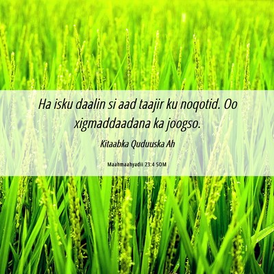 Picture 06 - Maahmaahyadii 23:4 SOM - Ha isku daalin si aad taajir ku noqotid. Oo - Bible Verse Picture