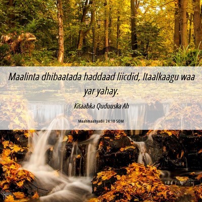 Picture 06 - Maahmaahyadii 24:10 SOM - Maalinta dhibaatada haddaad liicdid, Itaalkaagu - Bible Verse Picture